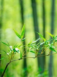 太阳城官网(中国)集团有限公司